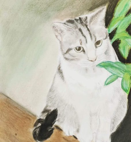 Katze